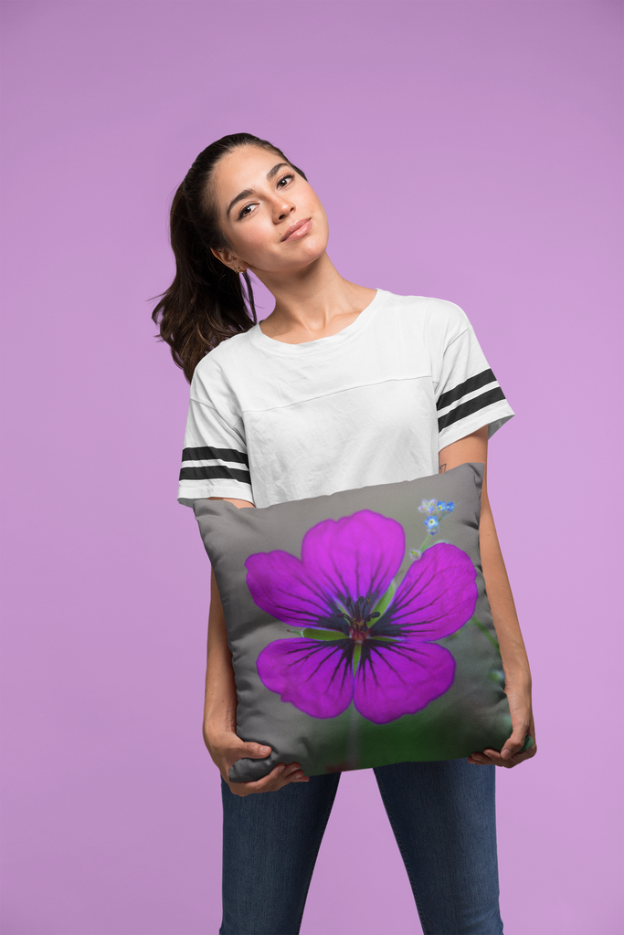 For the love of decorative pillows...