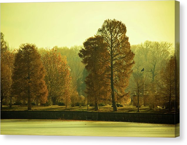 Nature Impressions - Canvas Print