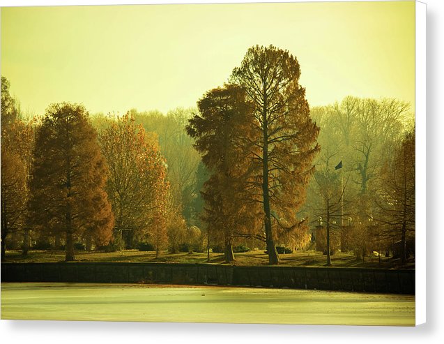 Nature Impressions - Canvas Print