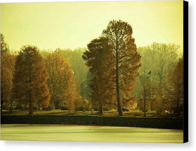 Nature Impressions - Canvas Print