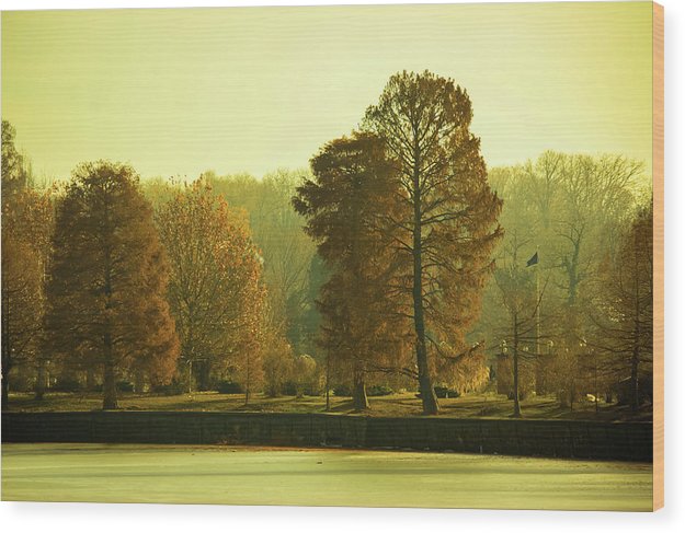 Nature Impressions - Wood Print