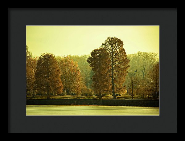 Nature Impressions - Framed Print