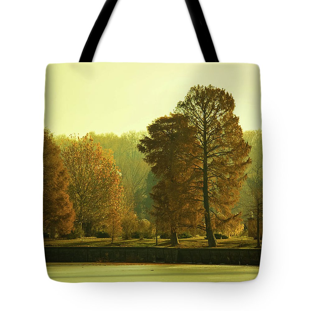 Nature Impressions - Tote Bag