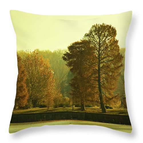 Nature Impressions - Throw Pillow
