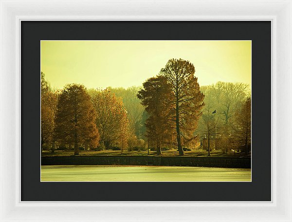 Nature Impressions - Framed Print