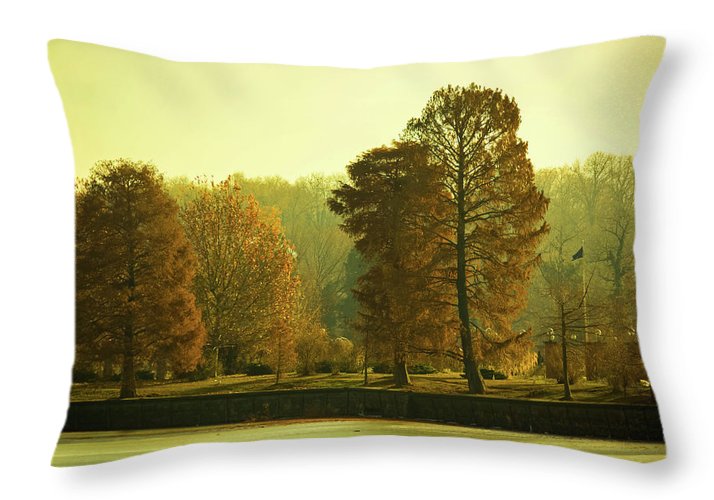 Nature Impressions - Throw Pillow