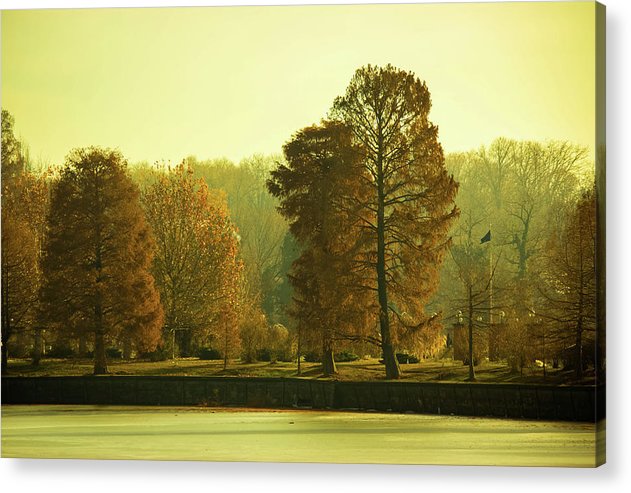 Nature Impressions - Acrylic Print