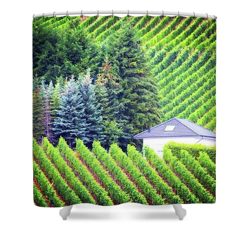 Vineyards  - Shower Curtain