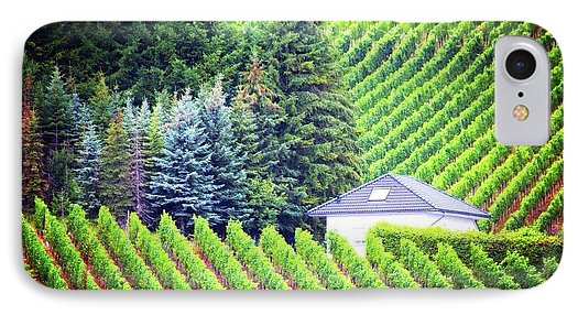 Vineyards  - Phone Case