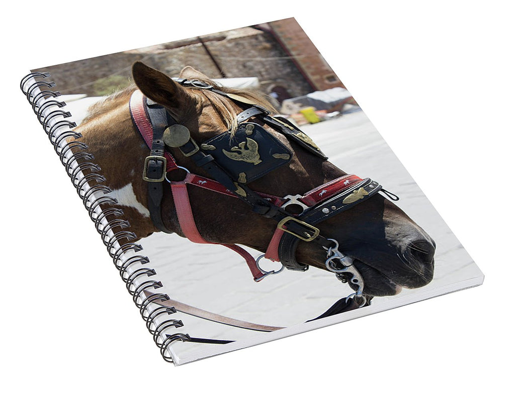 A Horse's Life - Spiral Notebook