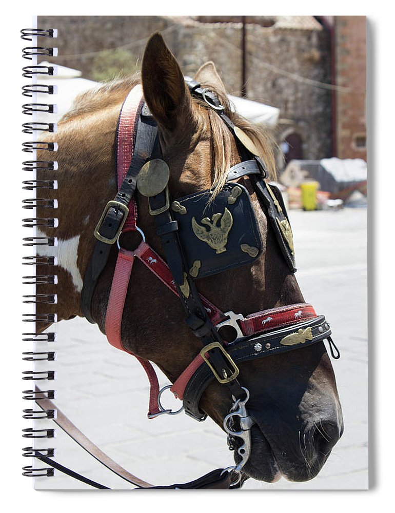 A Horse's Life - Spiral Notebook