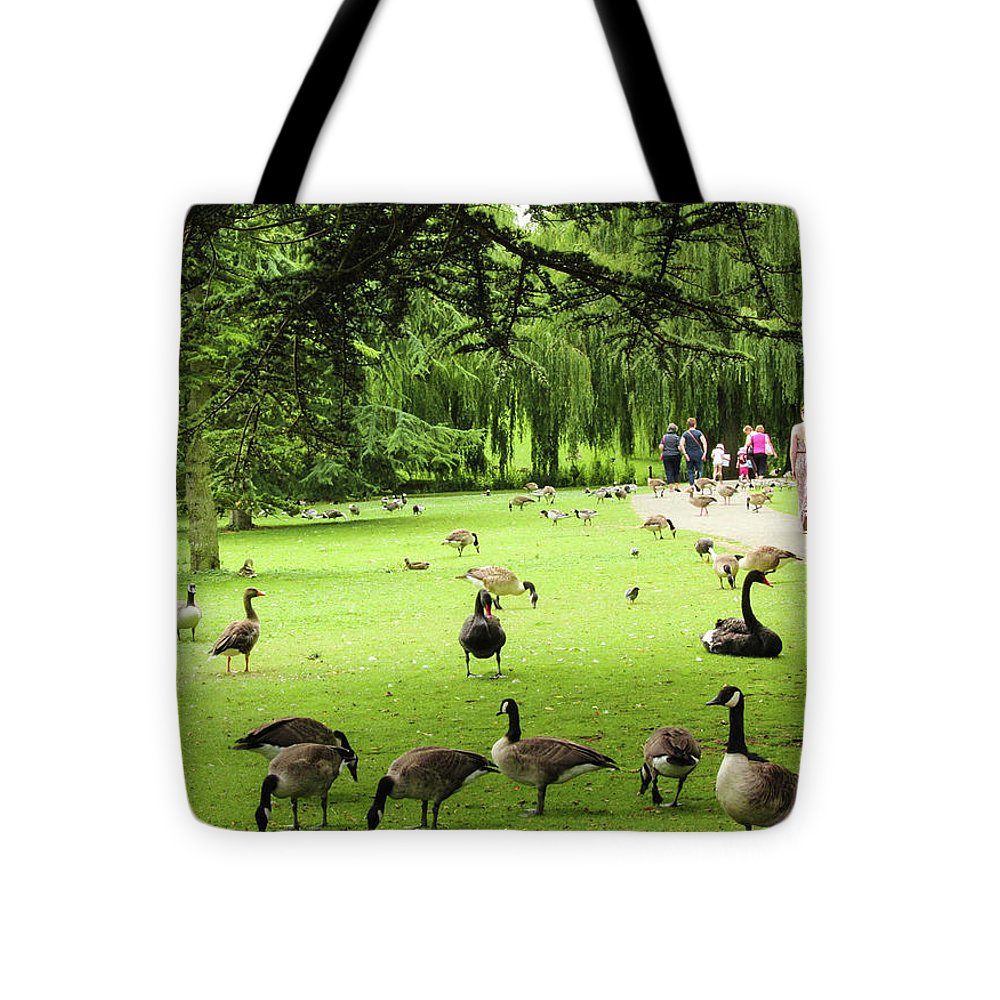 A Leap From Urban To Serene - Tote Bag