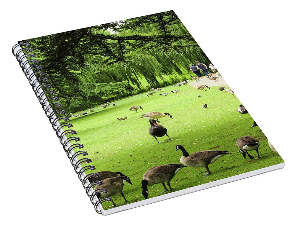 A Leap From Urban To Serene - Spiral Notebook