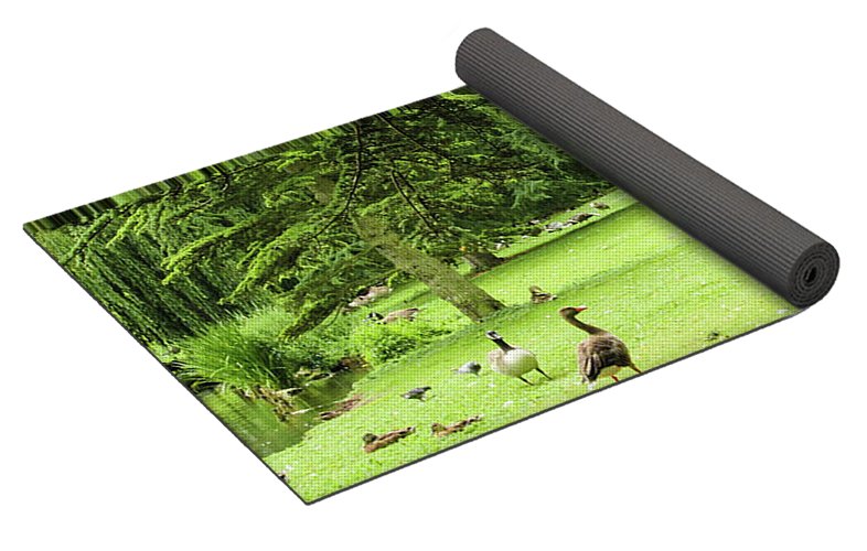 A Leap From Urban To Serene - Yoga Mat