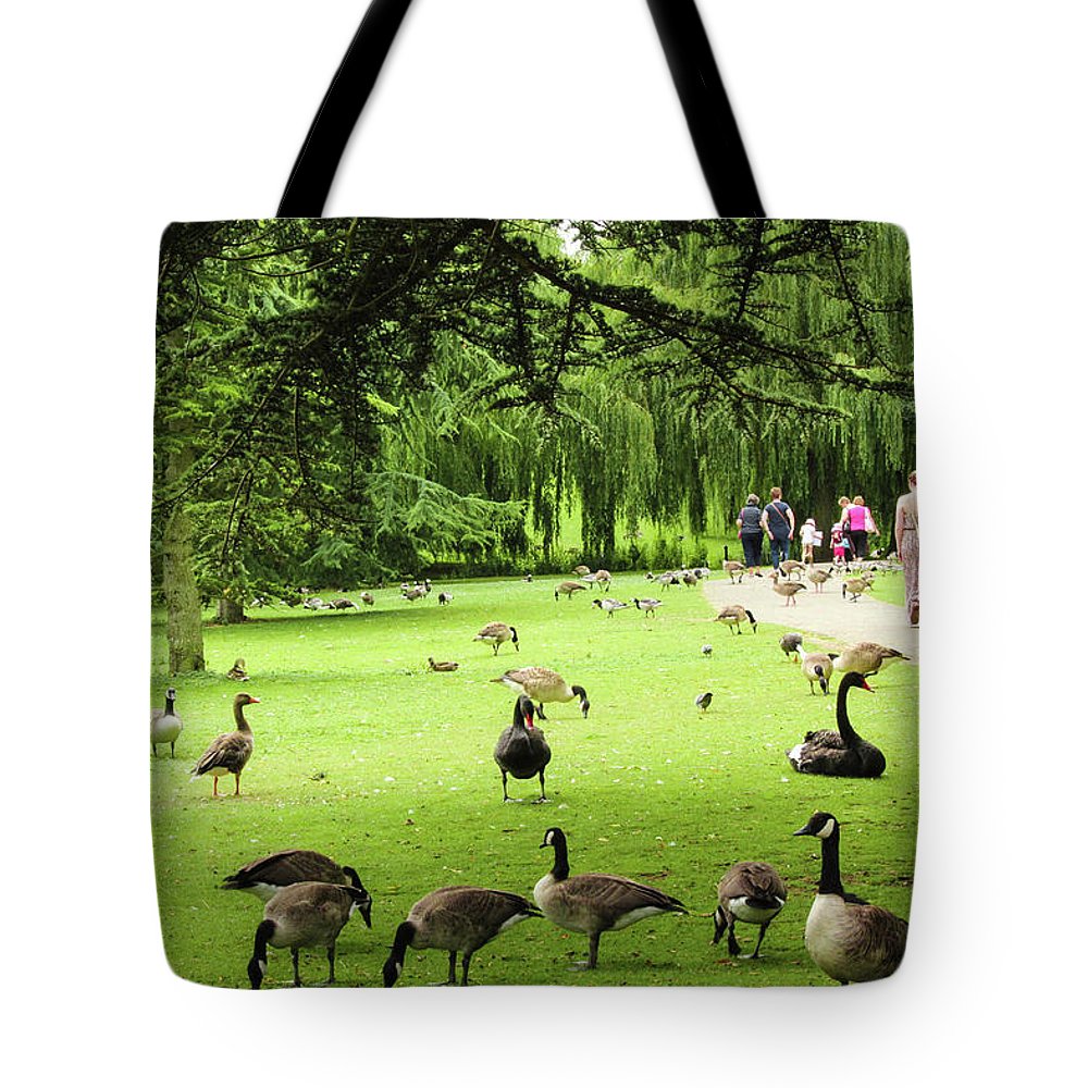 A Leap From Urban To Serene - Tote Bag