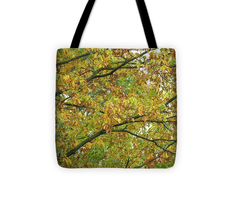 Autumn Colors  - Tote Bag