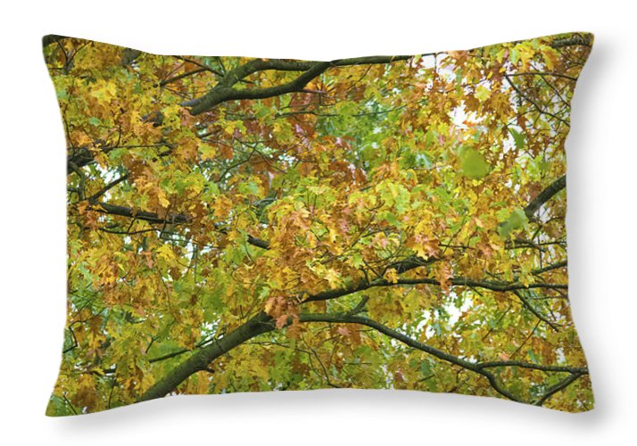 Autumn Colors  - Throw Pillow