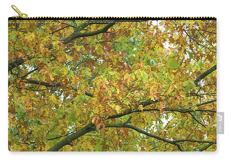 Autumn Colors  - Carry-All Pouch