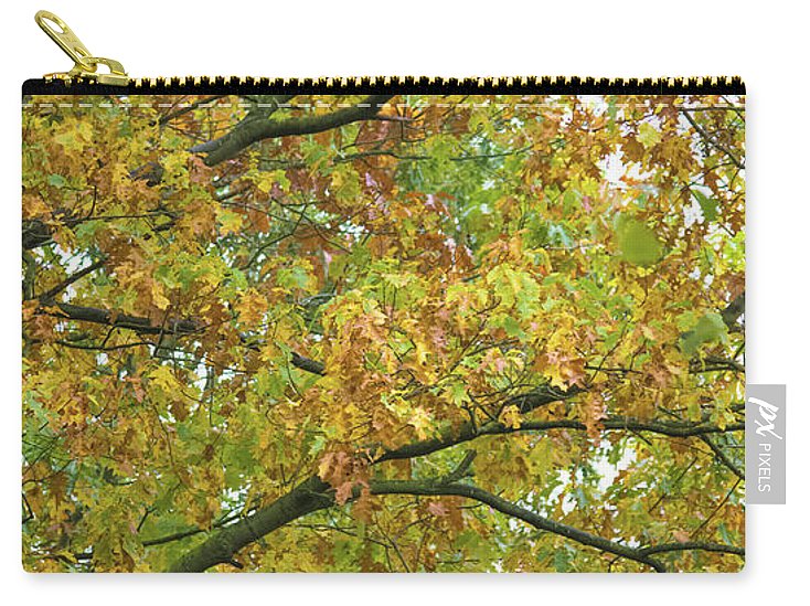 Autumn Colors  - Carry-All Pouch