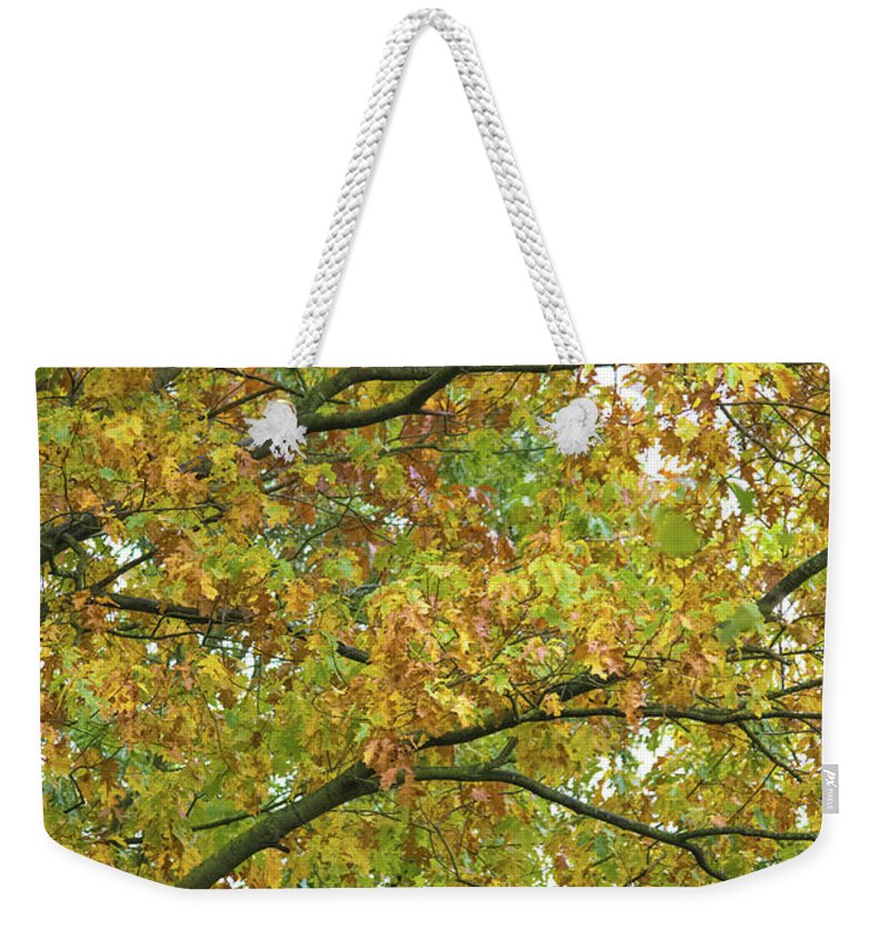Autumn Colors  - Weekender Tote Bag