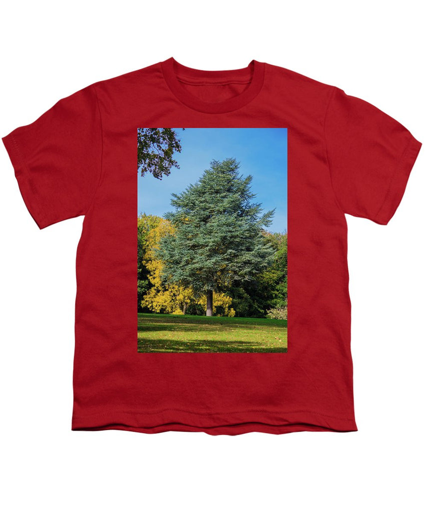 Autumn Leaf Color - Youth T-Shirt