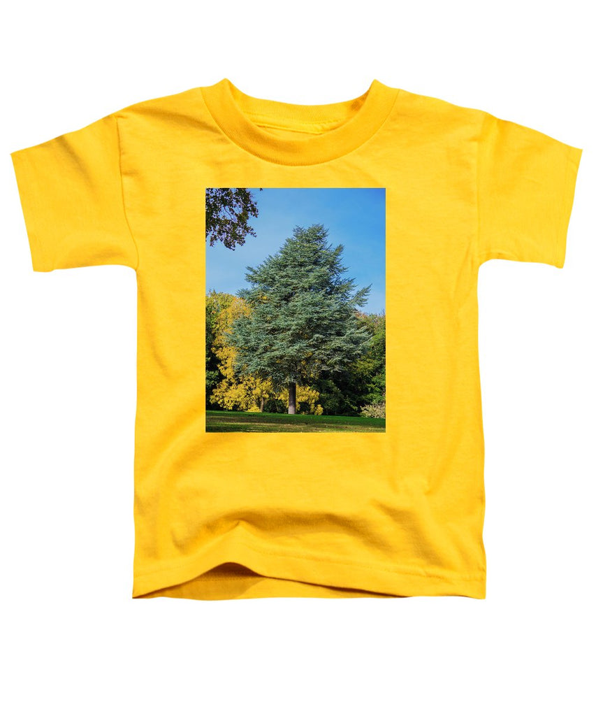 Autumn Leaf Color - Toddler T-Shirt