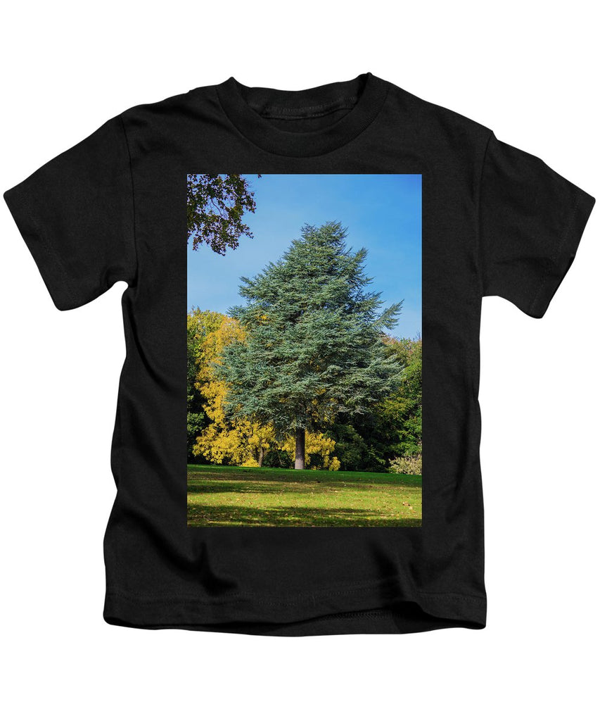 Autumn Leaf Color - Kids T-Shirt