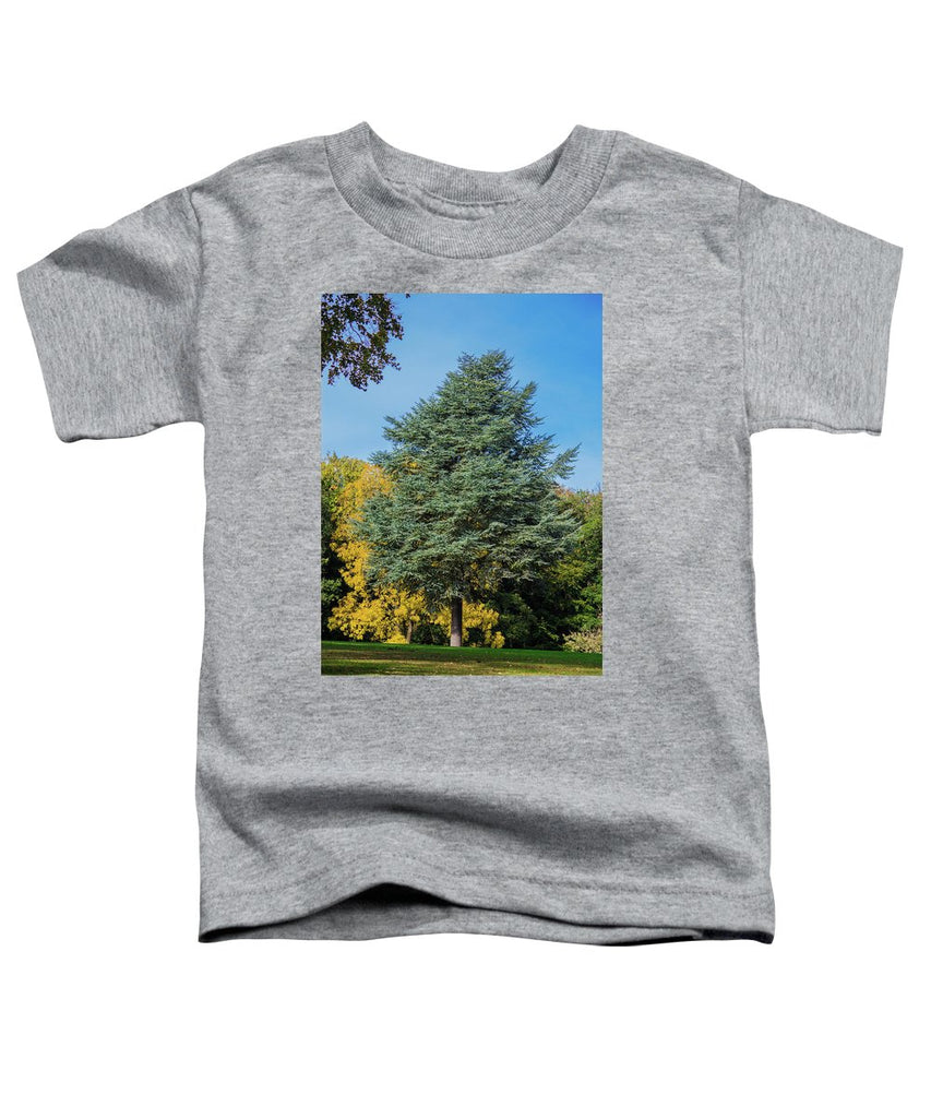 Autumn Leaf Color - Toddler T-Shirt