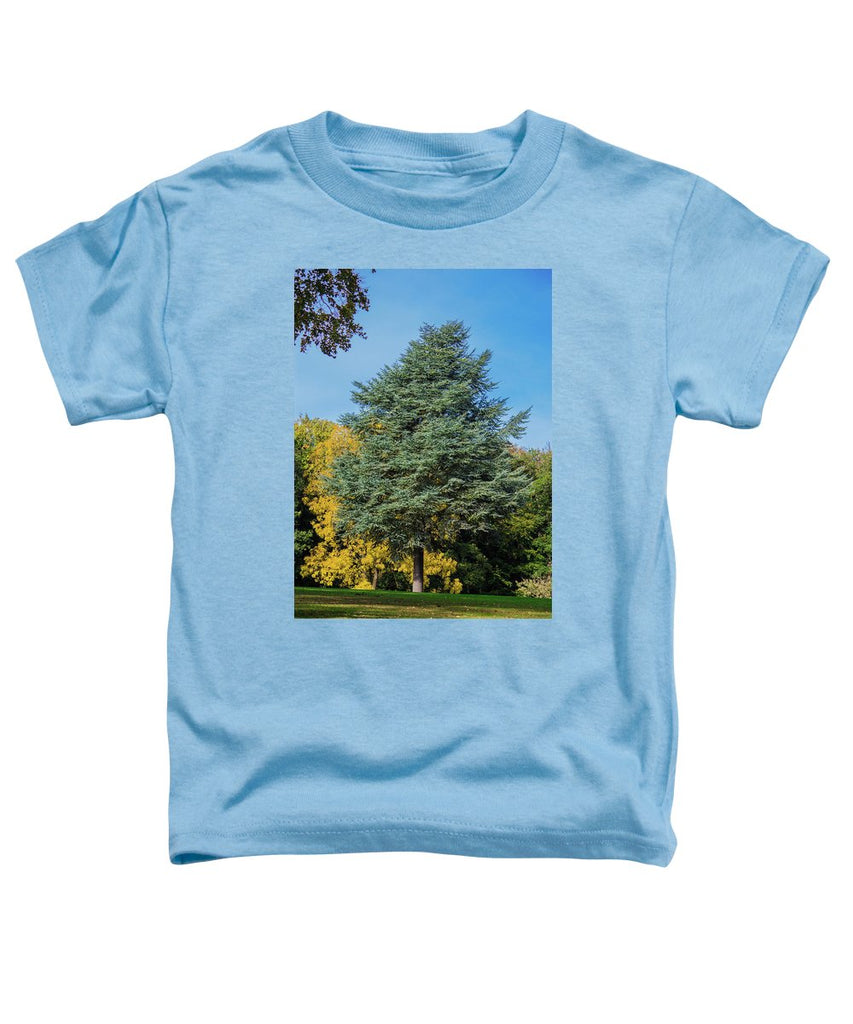 Autumn Leaf Color - Toddler T-Shirt