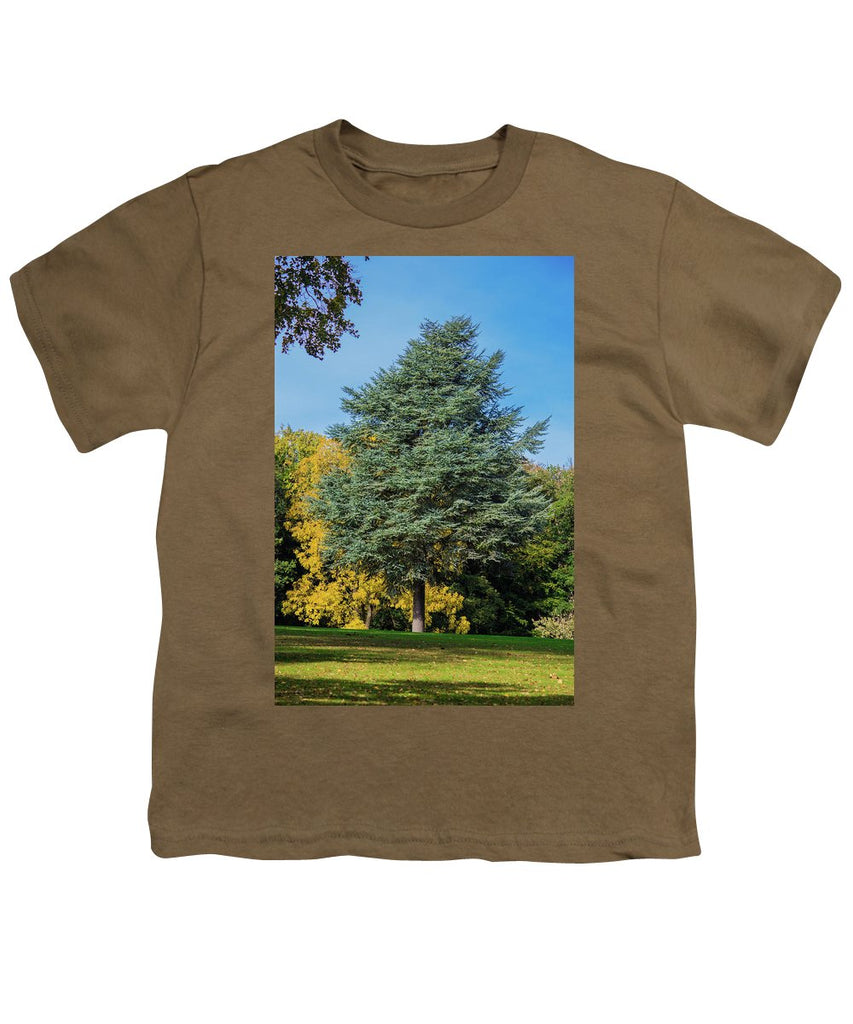 Autumn Leaf Color - Youth T-Shirt