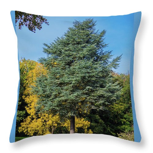 Autumn Leaf Color - Throw Pillow