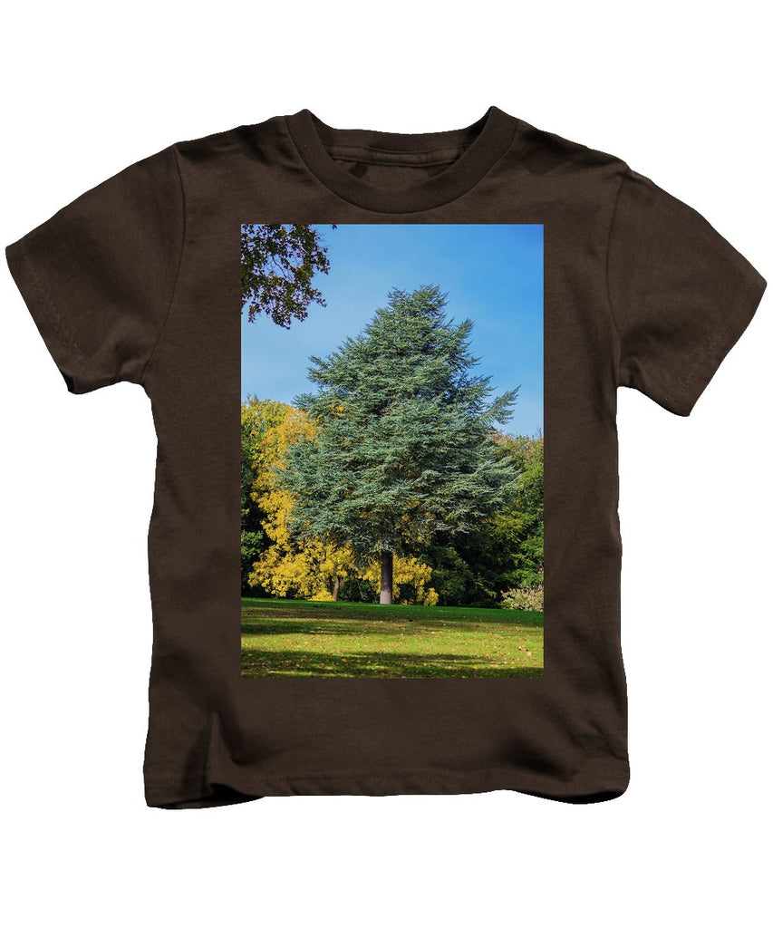 Autumn Leaf Color - Kids T-Shirt