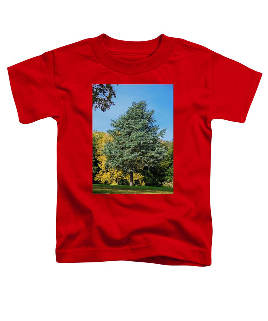 Autumn Leaf Color - Toddler T-Shirt