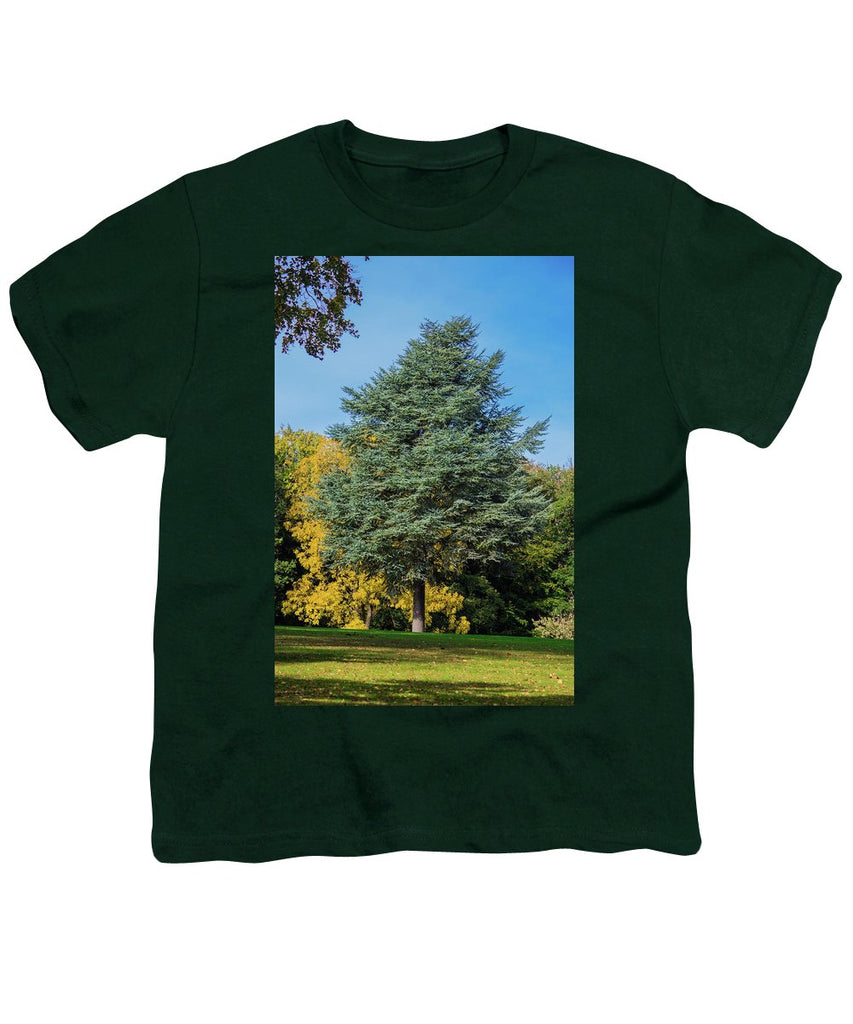 Autumn Leaf Color - Youth T-Shirt