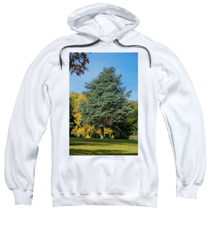 Autumn Leaf Color - Sweatshirt