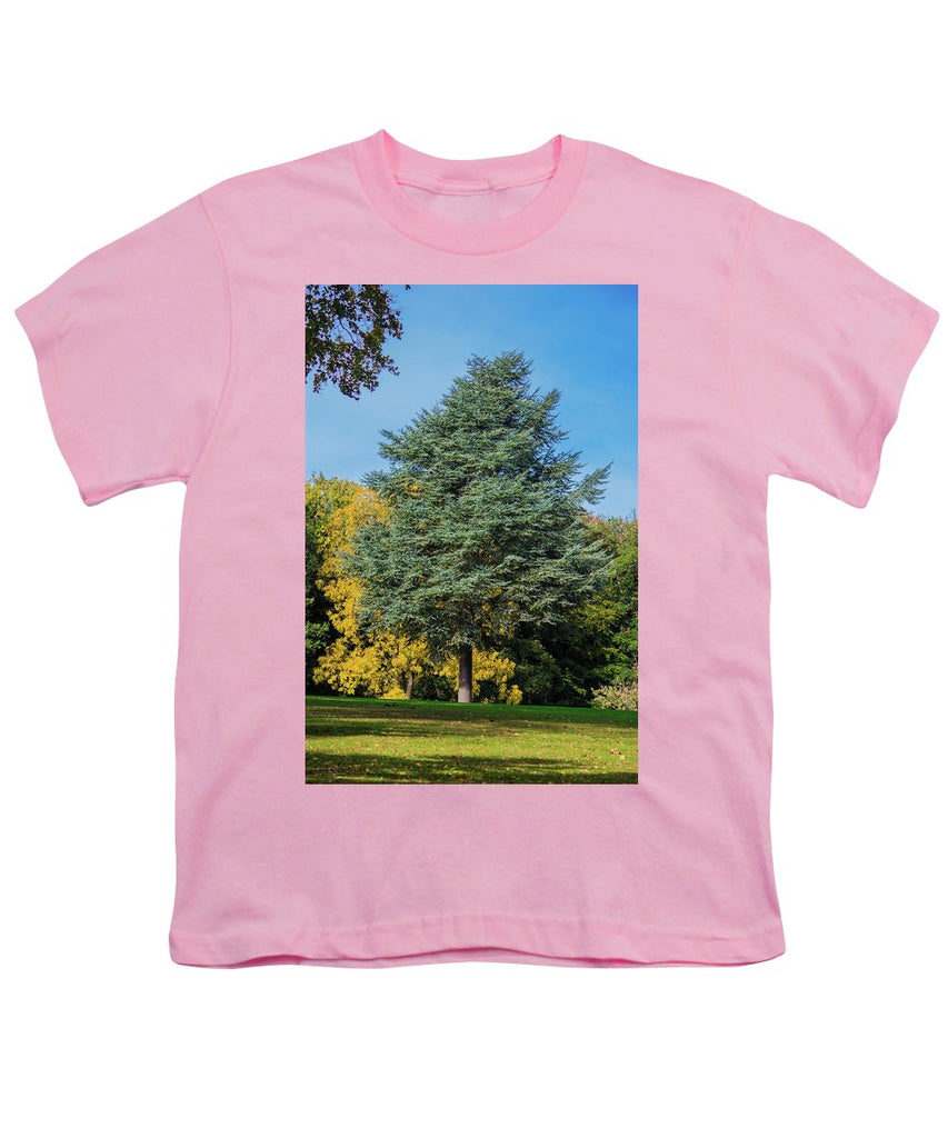 Autumn Leaf Color - Youth T-Shirt