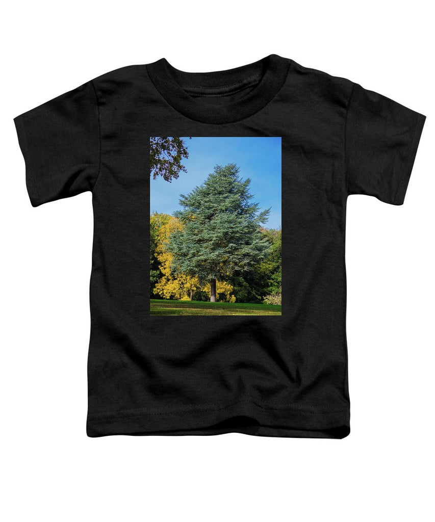 Autumn Leaf Color - Toddler T-Shirt