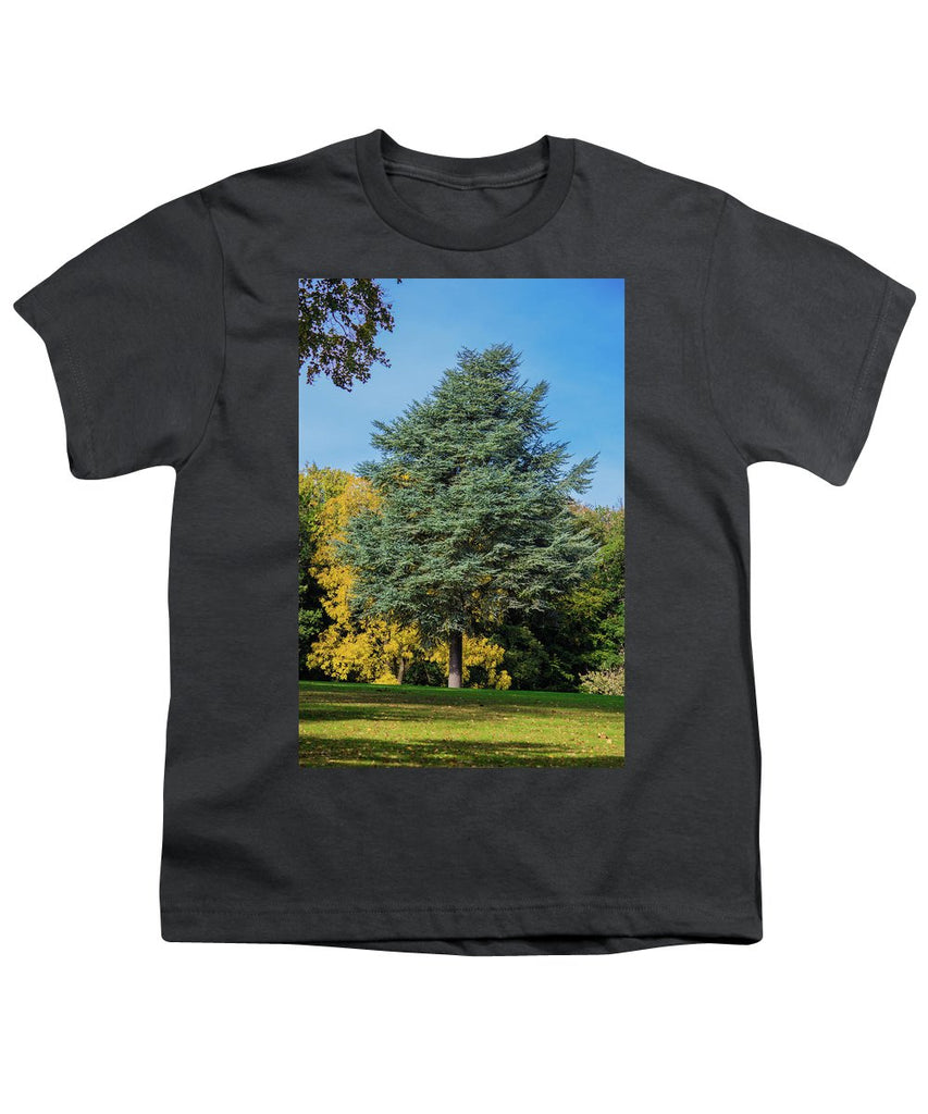 Autumn Leaf Color - Youth T-Shirt