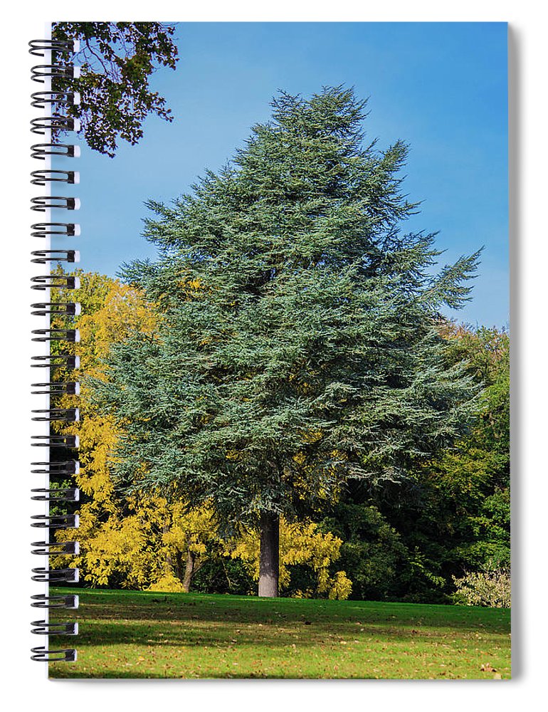 Autumn Leaf Color - Spiral Notebook