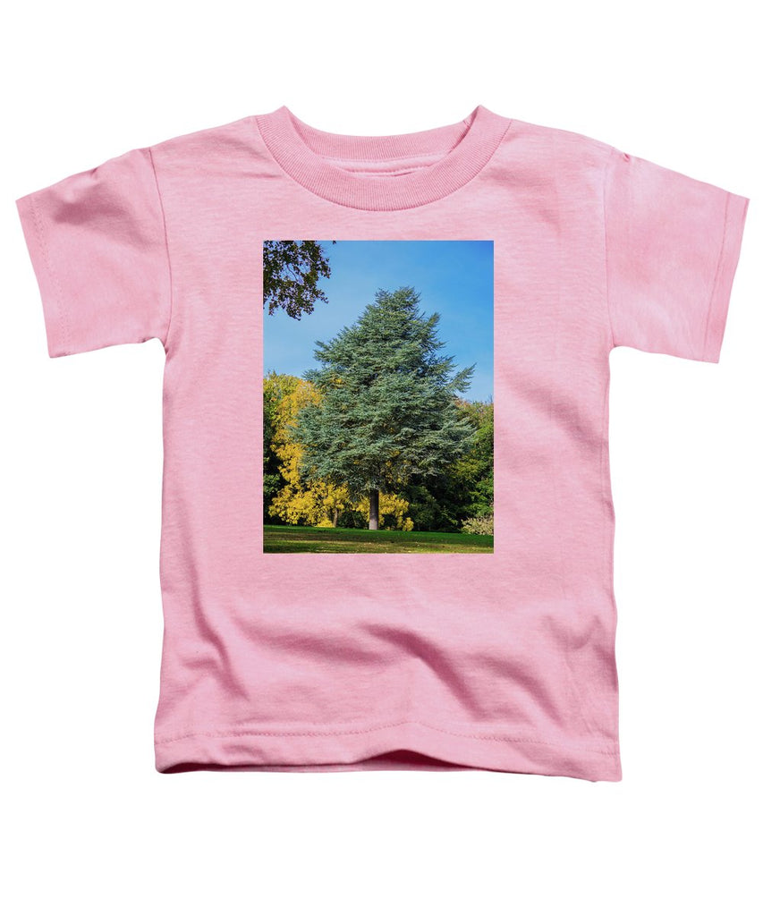 Autumn Leaf Color - Toddler T-Shirt