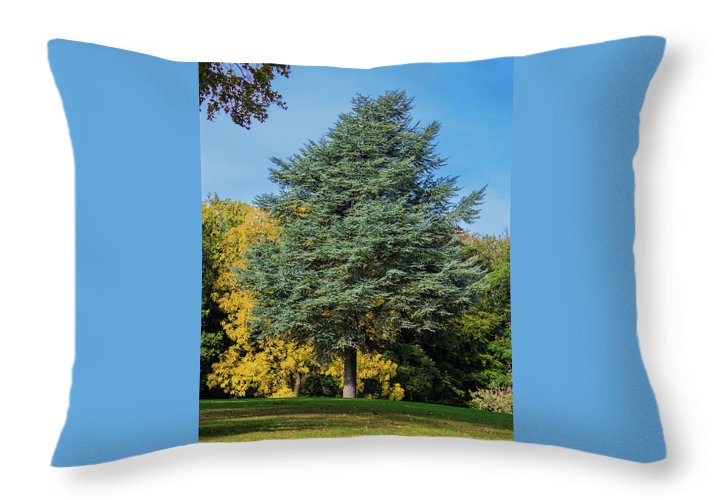 Autumn Leaf Color - Throw Pillow