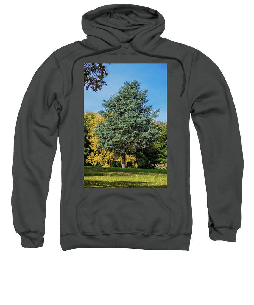 Autumn Leaf Color - Sweatshirt