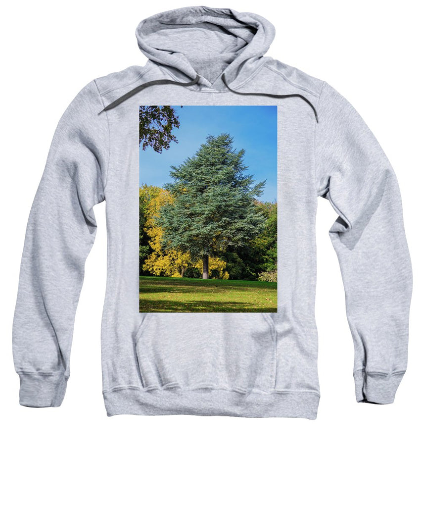 Autumn Leaf Color - Sweatshirt