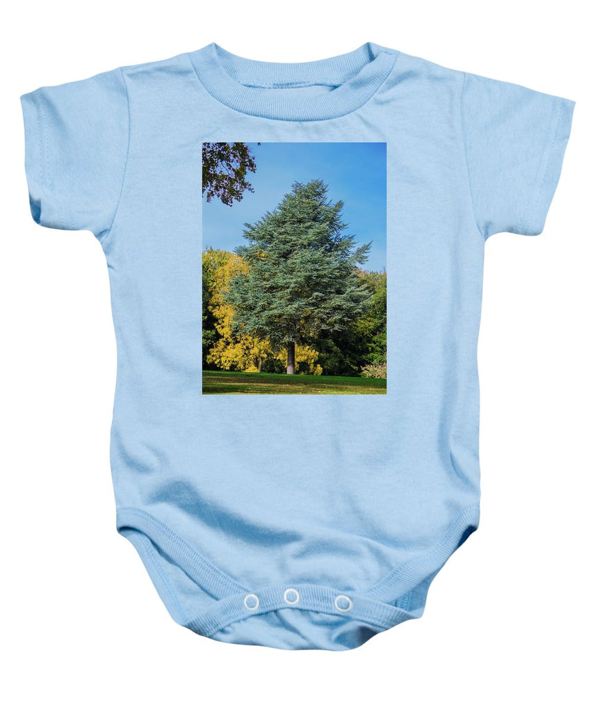 Autumn Leaf Color - Baby Onesie