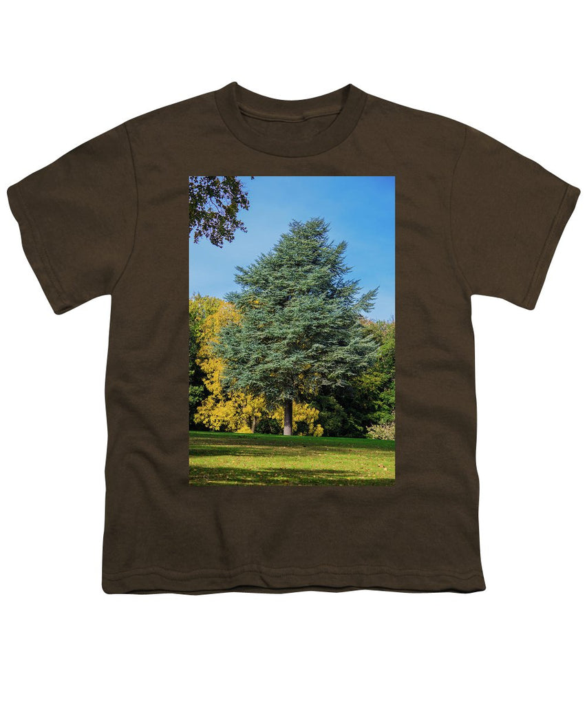 Autumn Leaf Color - Youth T-Shirt