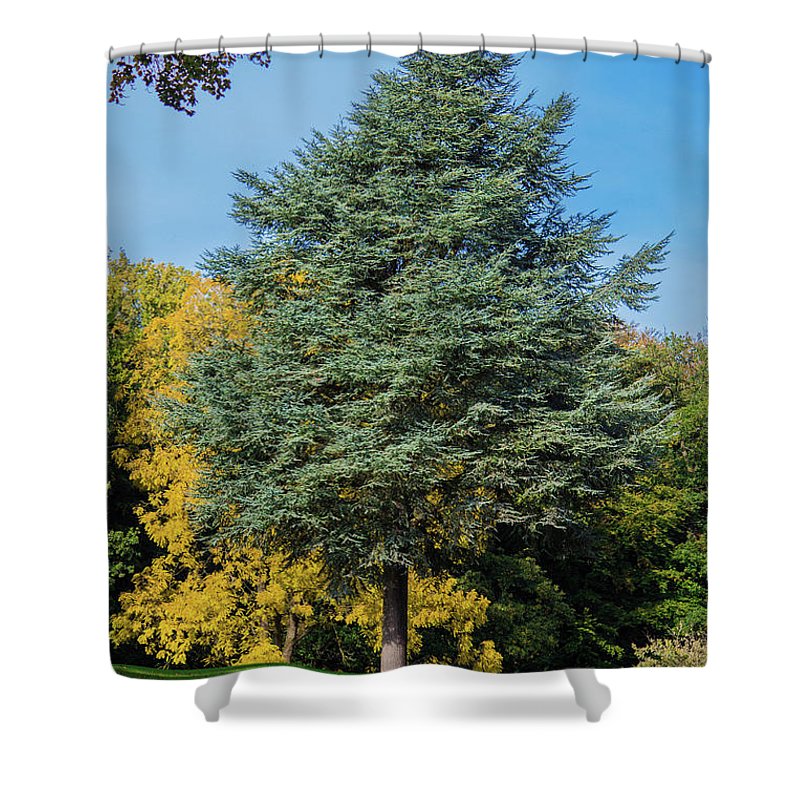 Autumn Leaf Color - Shower Curtain