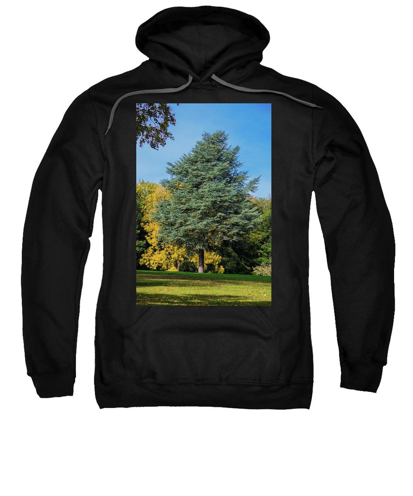 Autumn Leaf Color - Sweatshirt