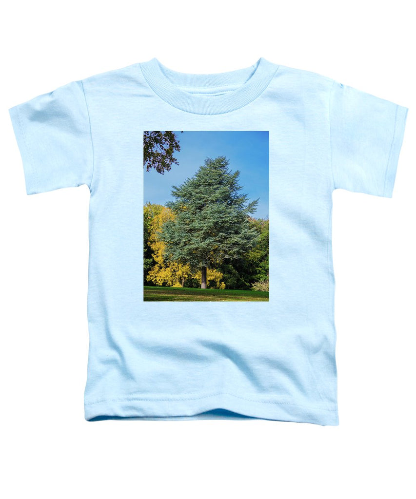 Autumn Leaf Color - Toddler T-Shirt