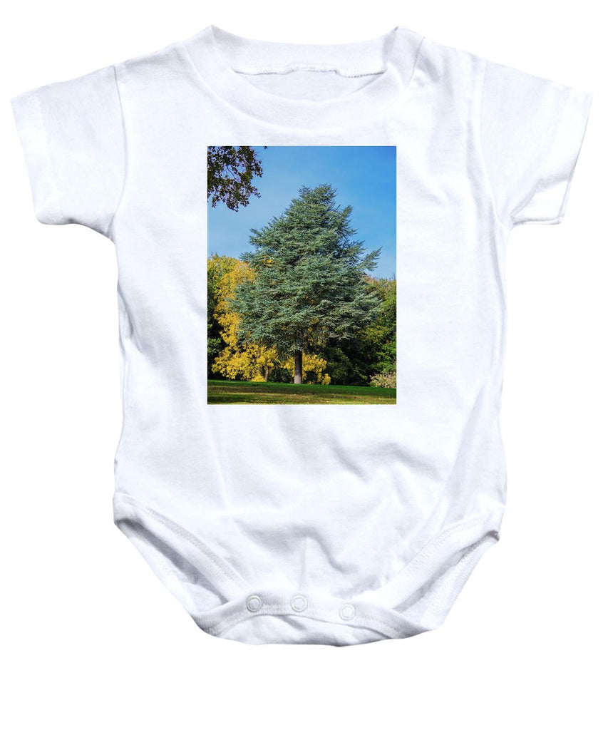 Autumn Leaf Color - Baby Onesie