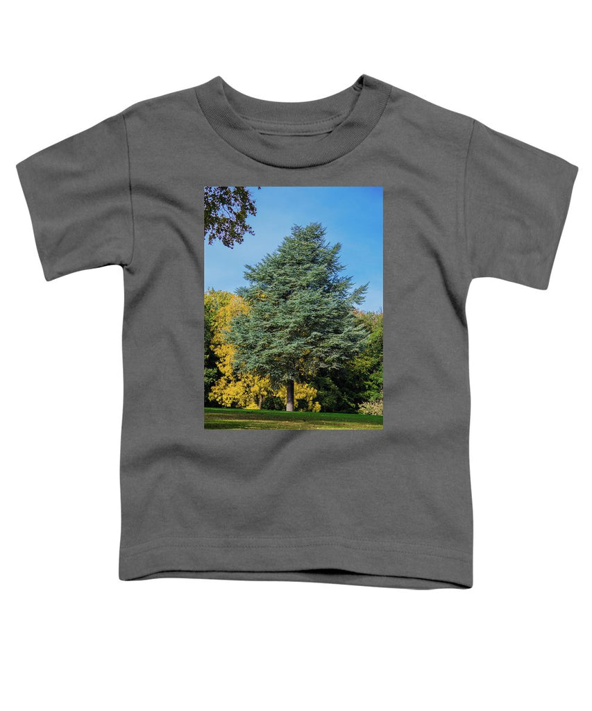 Autumn Leaf Color - Toddler T-Shirt